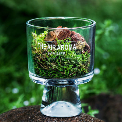 Couleur personnalisée Luxe 100 ml Diffuseur de roseau de mousse avec huile parfumée inspirée de la nature