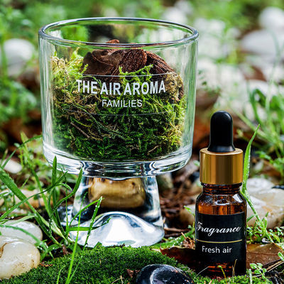 Améliorez votre maison avec un diffuseur d'huile parfumée en forme de fleur et un parfum personnalisé