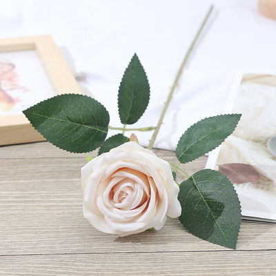 Des fleurs décoratives éternelles préservées Beaux styles colorés pour les événements Décoration