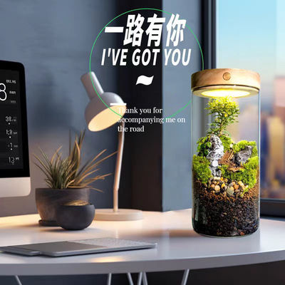 Bonsaï et centres commerciaux Terrariums sur table en fibre de verre avec fibres végétales de broussail