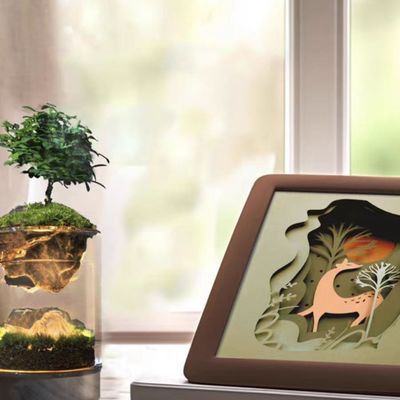 Terrariums modernes en fibre de verre pour le micro paysage contemporain dans les centres commerciaux au sol