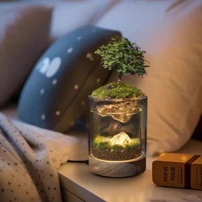 Terrariums modernes en fibre de verre pour le micro paysage contemporain dans les centres commerciaux au sol