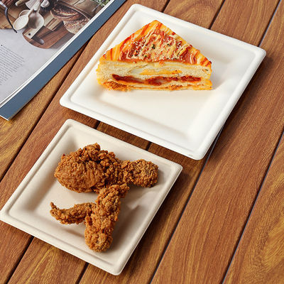 Plateaux à repas jetables de 1 pièce de 14 pouces, carrés et rectangulaires