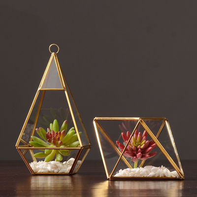 Élégante boîte d'affichage en verre de design nordique avec bordure en laiton et base en bois