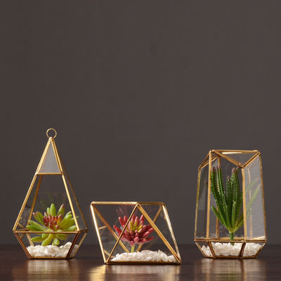 Pièces de décoration pour la maison Luxe boîte d'affichage en verre nordique avec marge en laiton Base en bois Logo personnalisé