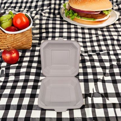 Contenant alimentaire biodégradable jetable Boîtes à repas en plastique carré durable avec couvercle