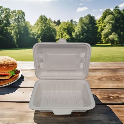 Contenant alimentaire biodégradable jetable Boîtes à repas en plastique carré durable avec couvercle
