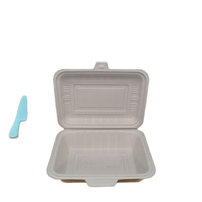 Boîtes à manger en plastique rectangulaire confortable de qualité alimentaire avec couvercle