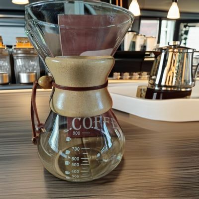 Filtre en acier inoxydable 304 Classic 400 ml machine à café en verre pour les amateurs de thé et de café