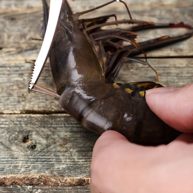 Nettoyage rapide des crevettes avec des hachoirs à légumes et un couteau à ventre de poisson en acier inoxydable