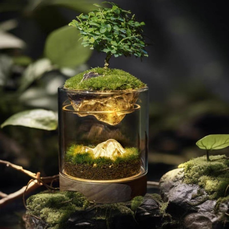 Serres en verre de table modernes Lampes Terrariums en fibre de verre pour la plantation de semis