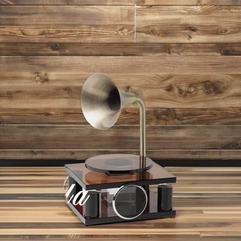 Gravé lumière de luxe rétro lecteur de disques ornement Art déco Design pour décor de TV armoire